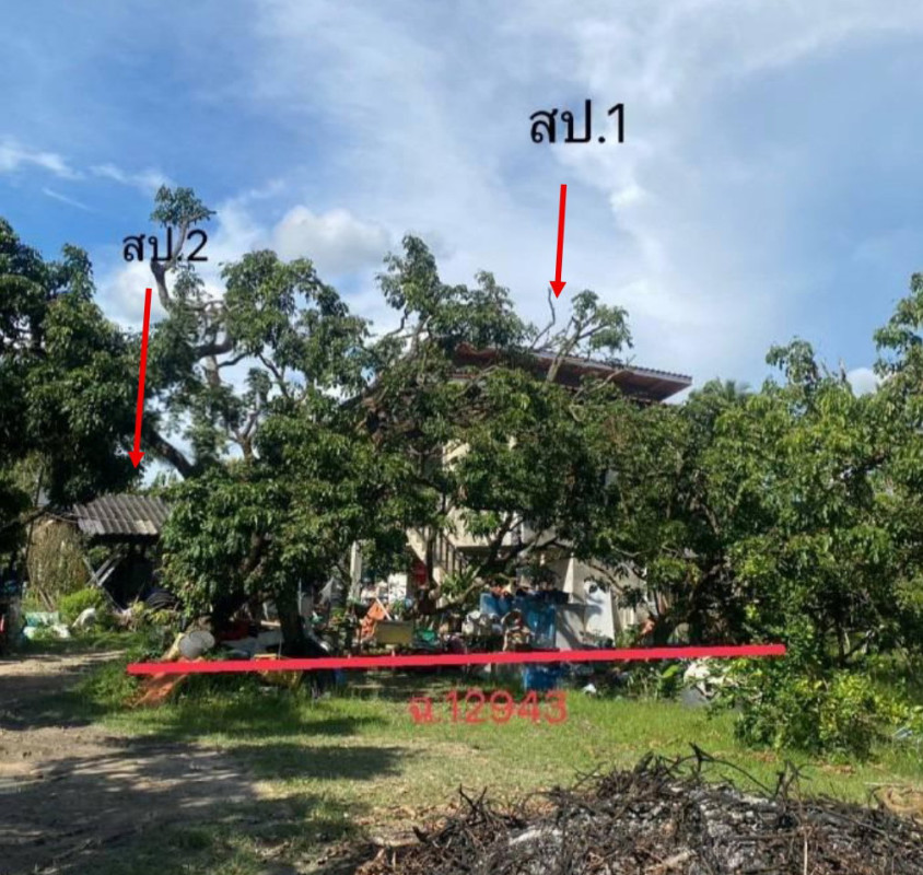 ที่ดินเปล่า เชียงใหม่ จอมทอง ข่วงเปา 1295558