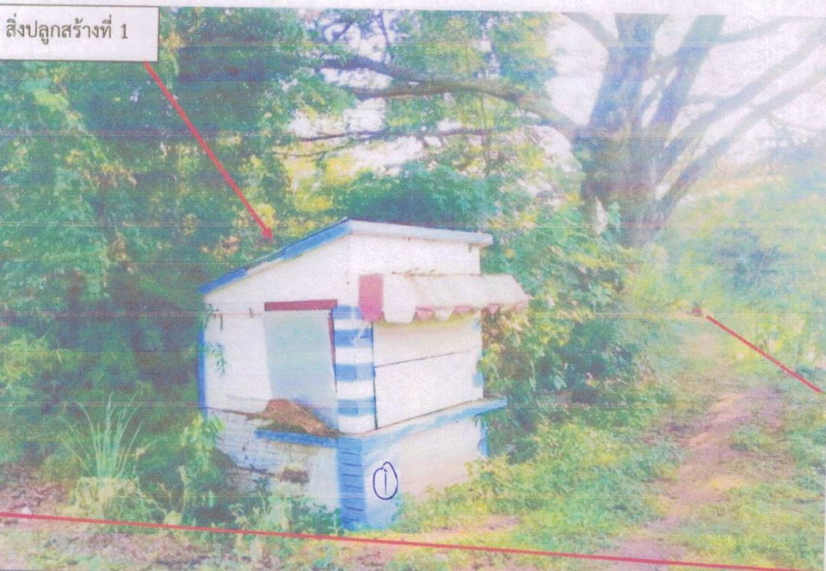 บ้านเดี่ยว ชัยภูมิ เมืองชัยภูมิ หนองนาแซง 156450