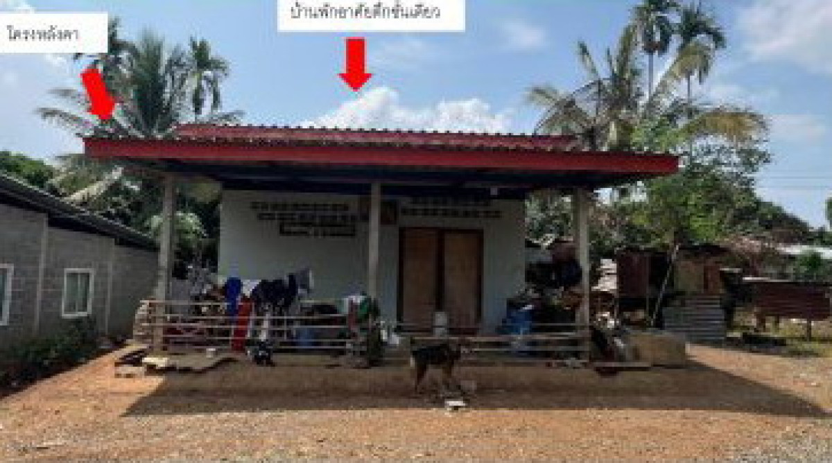 บ้านเดี่ยว จันทบุรี สอยดาว ทรายขาว 709732