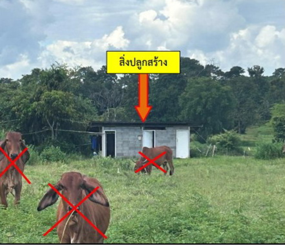 Single house Kalasin Na Mon Yot Kaeng 790000