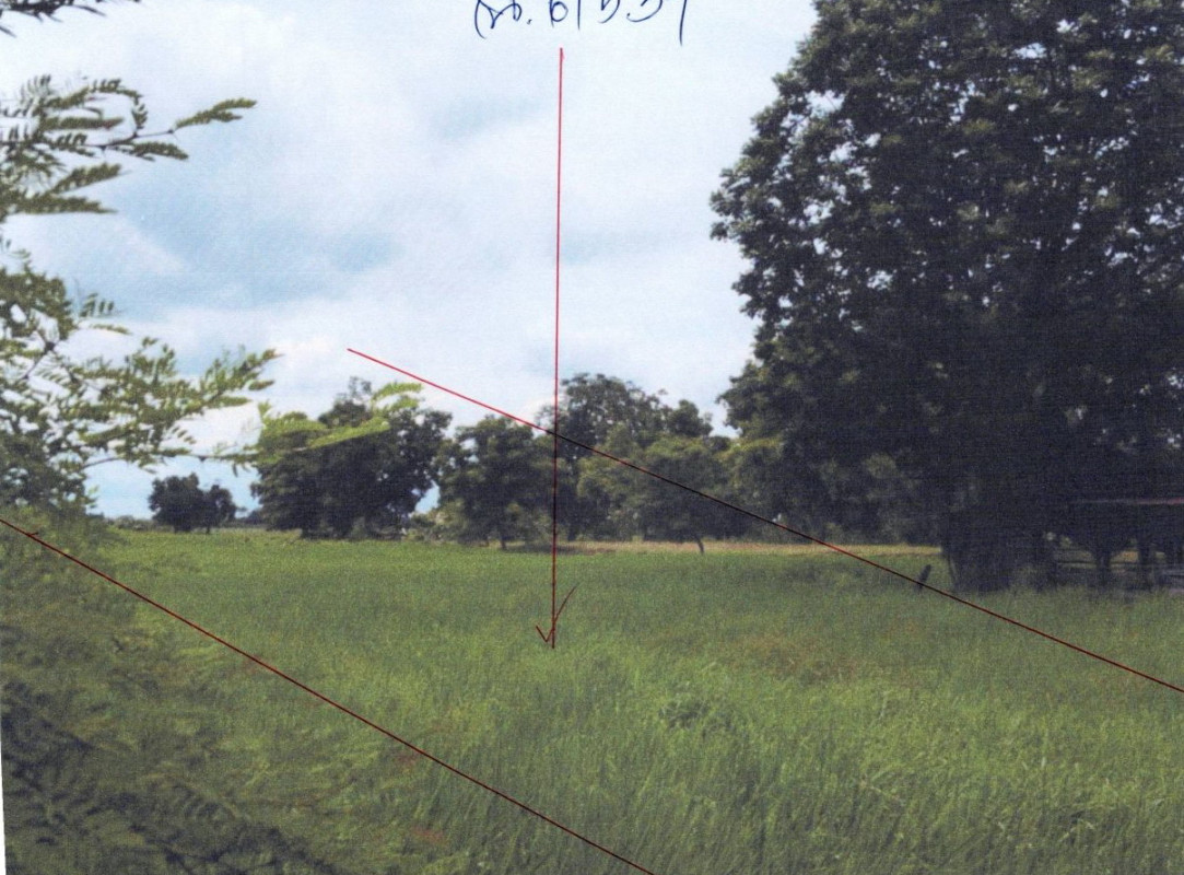 Residential land/lot Nakhon Ratchasima Non Sung Makha 644470