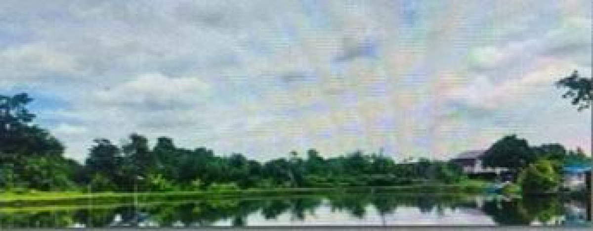 Residential land/lot Nakhon Pathom Nakhon Chai Si Bang Rakam 364500