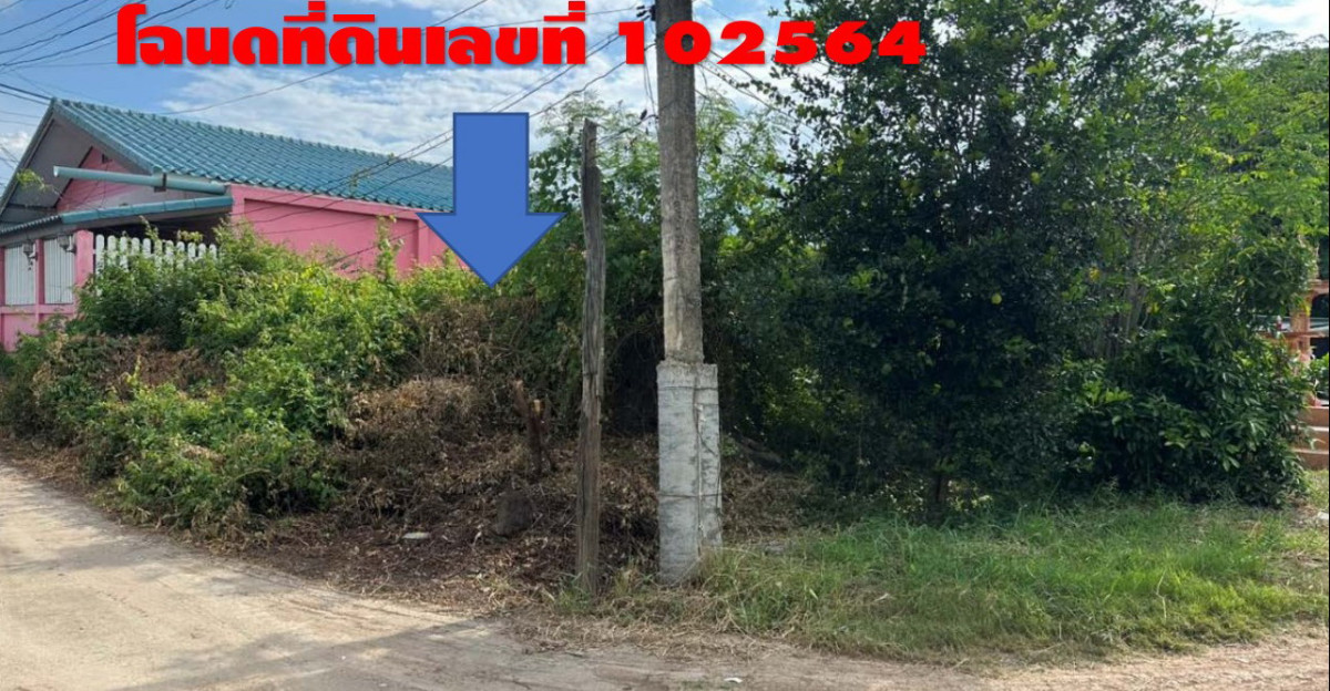 Residential land/lot Nakhon Pathom Mueang Nakhon Pathom Wang Yen 32400