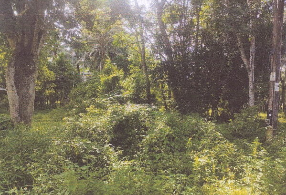 Residential land/lot Krabi Nuea Khlong Pakasai 176000