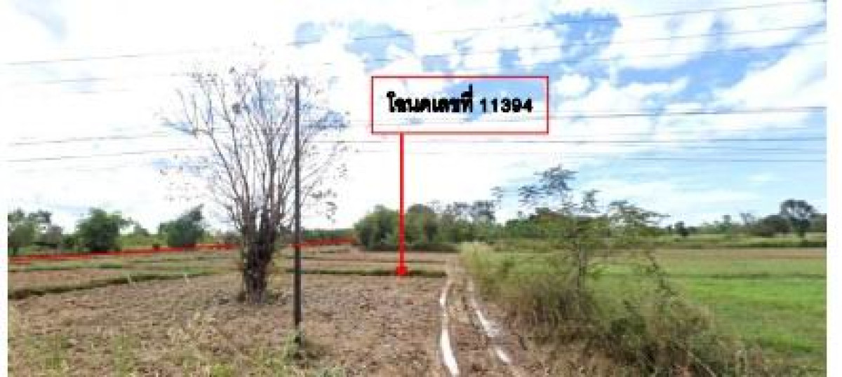 Residential land/lot Nong Khai Tha Bo Nakha 396530