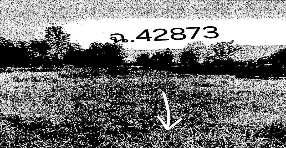 Residential land/lot Chaiyaphum Kaeng Khro Khok Kung 199540