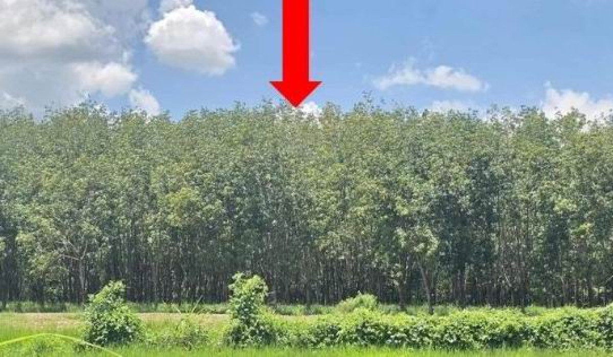 ที่ดินเปล่า ขอนแก่น กระนวน หนองโก 1867800