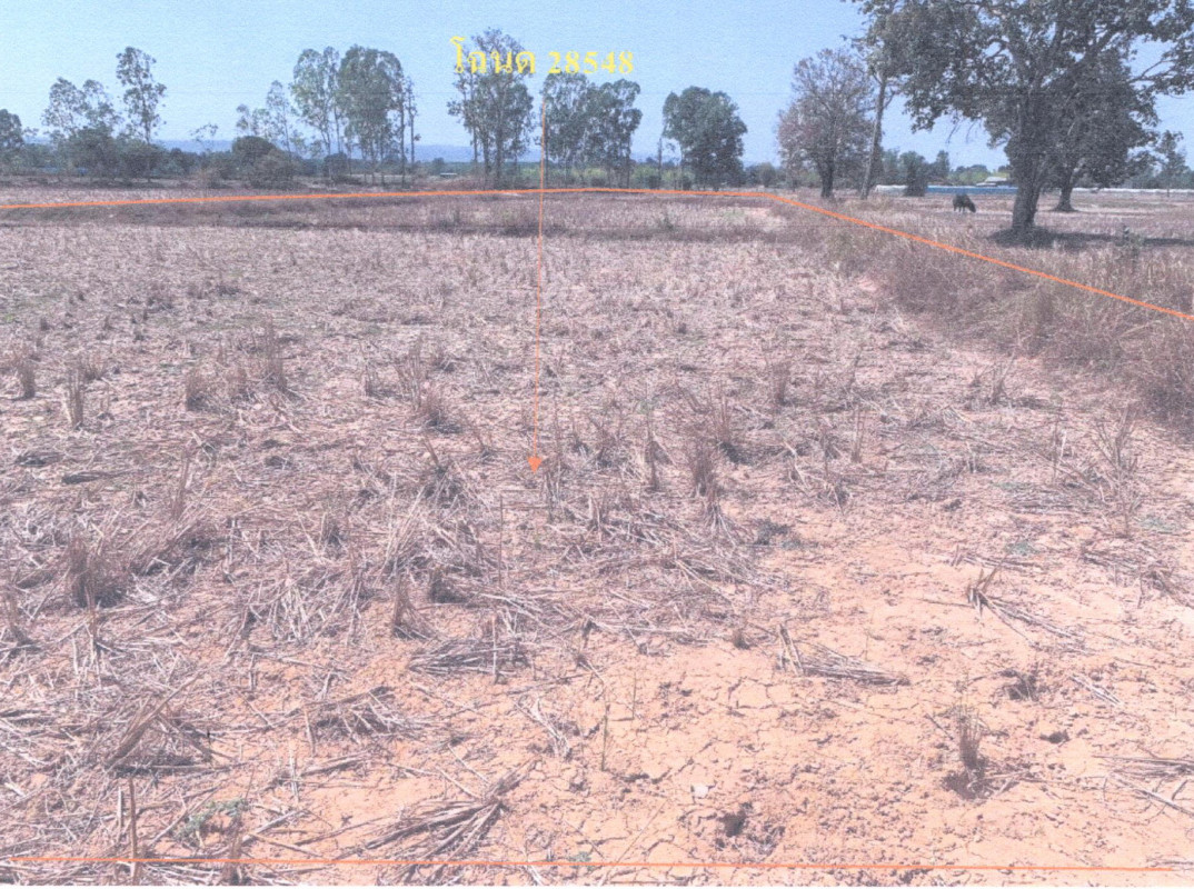 ที่ดินเปล่า นครพนม นาแก พิมาน 134550