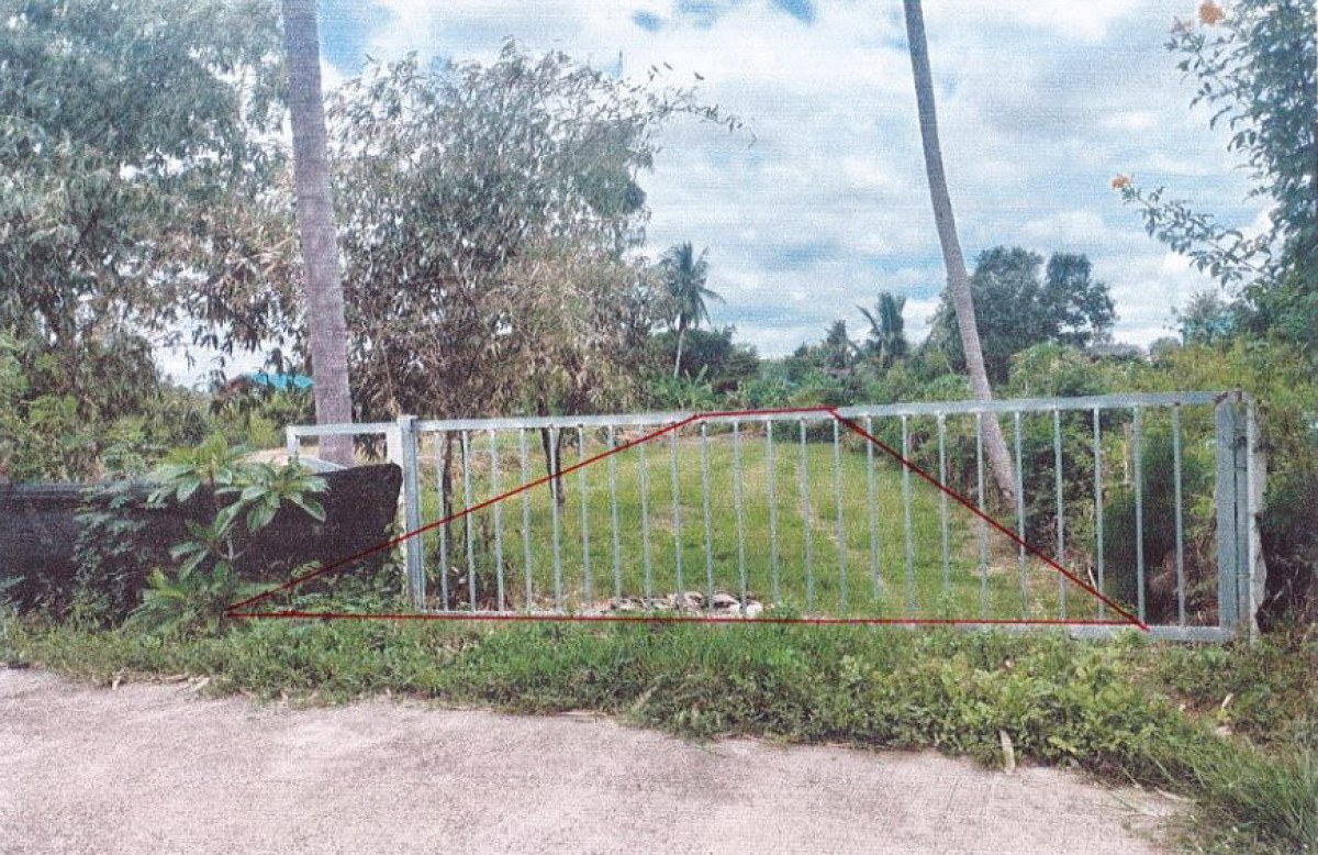 ที่ดินเปล่า นครราชสีมา โชคชัย พลับพลา 31400