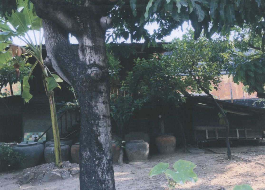 บ้านเดี่ยว สมุทรปราการ พระสมุทรเจดีย์ ในคลองบางปลากด 8773000