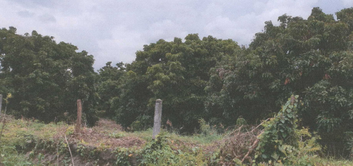 ที่ดินเปล่า เชียงใหม่ จอมทอง แม่สอย 64100