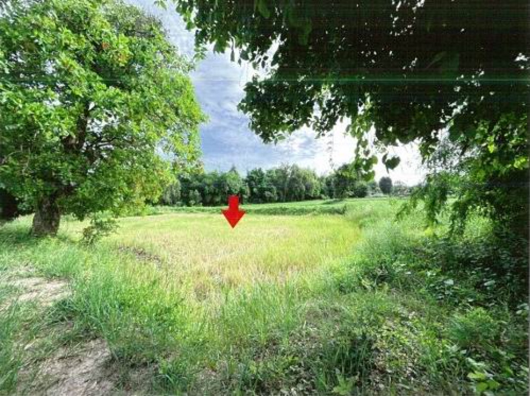 Residential land/lot Kalasin Mueang Kalasin Huai Pho 266000