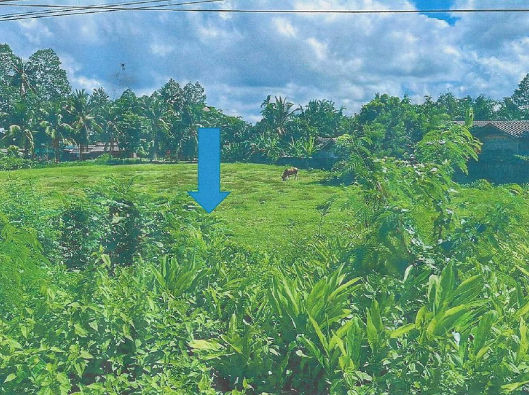 Residential land/lot Nakhon Si Thammarat Chaloem Phra Kiat Suan Luang 3120000