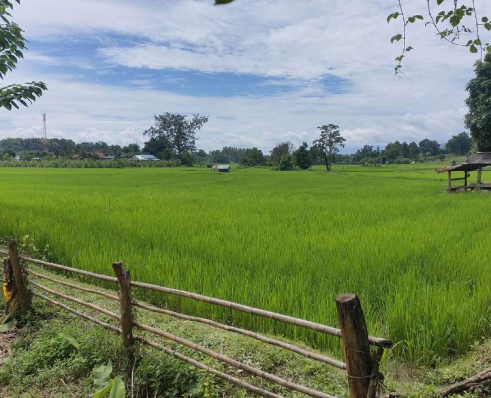 ที่ดินเปล่า เชียงใหม่ แม่แตง สบเปิง 37100