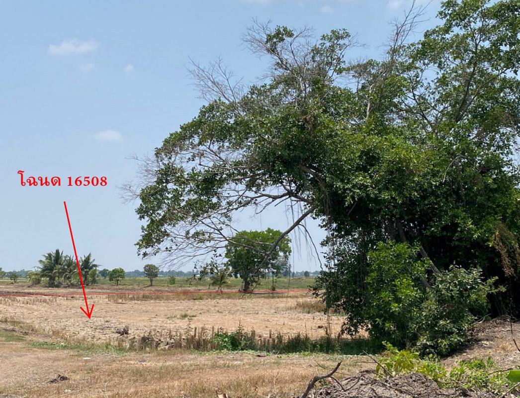 Residential land/lot Nakhon Nayok Ongkharak Sisa Krabue 50000