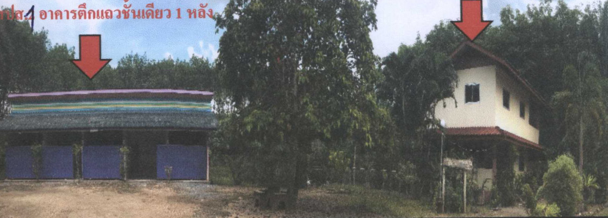 บ้านเดี่ยว นครศรีธรรมราช ฉวาง ไม้เรียง 2964680