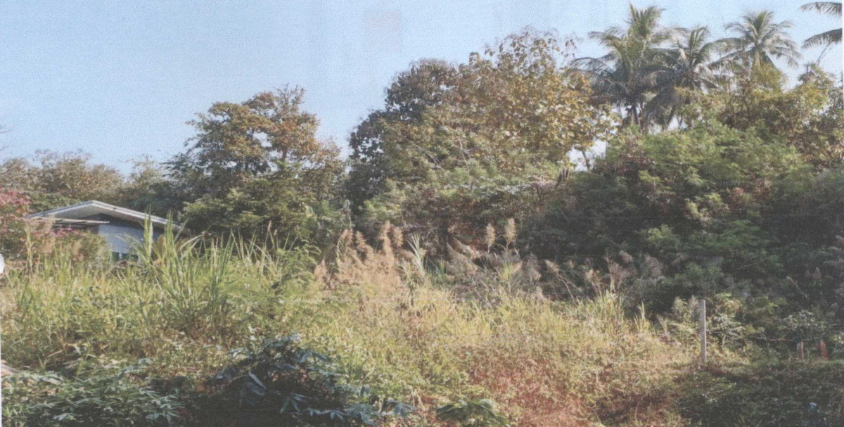 ที่ดินเปล่า เชียงใหม่ แม่แจ่ม ท่าผา 287100