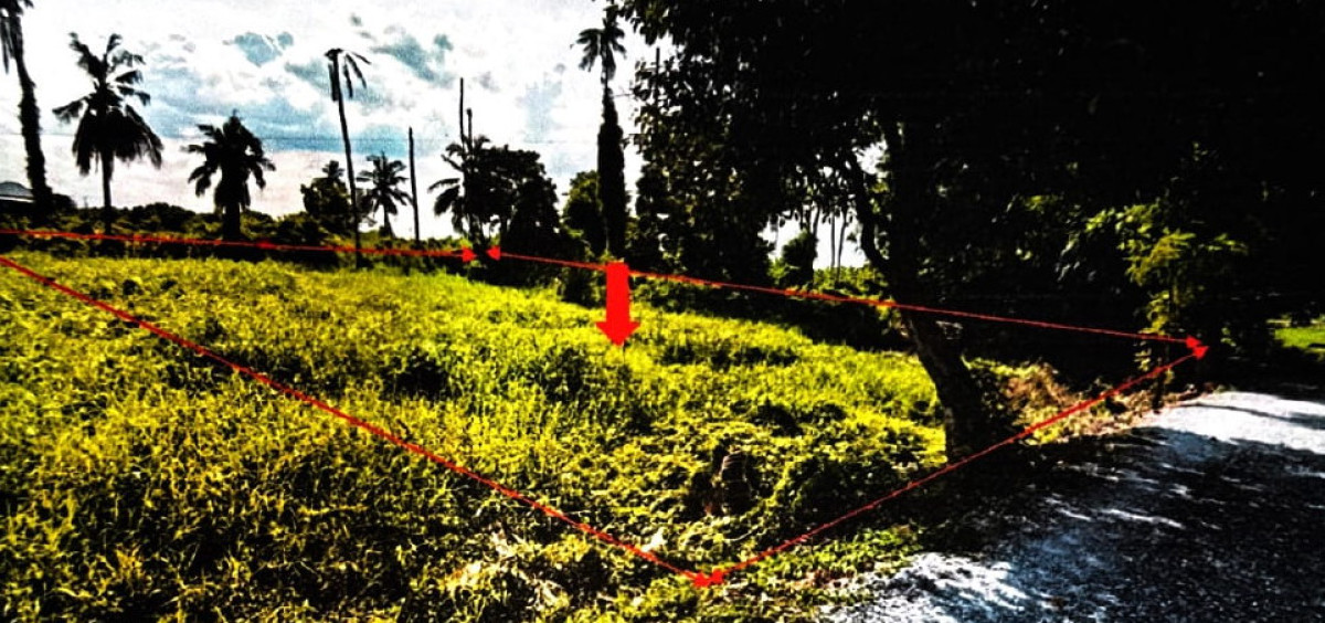 ที่ดินเปล่า นครปฐม นครชัยศรี งิ้วราย 757900