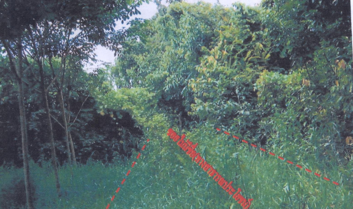 Residential land/lot Nong Khai Phon Phisai Na Nang 55500