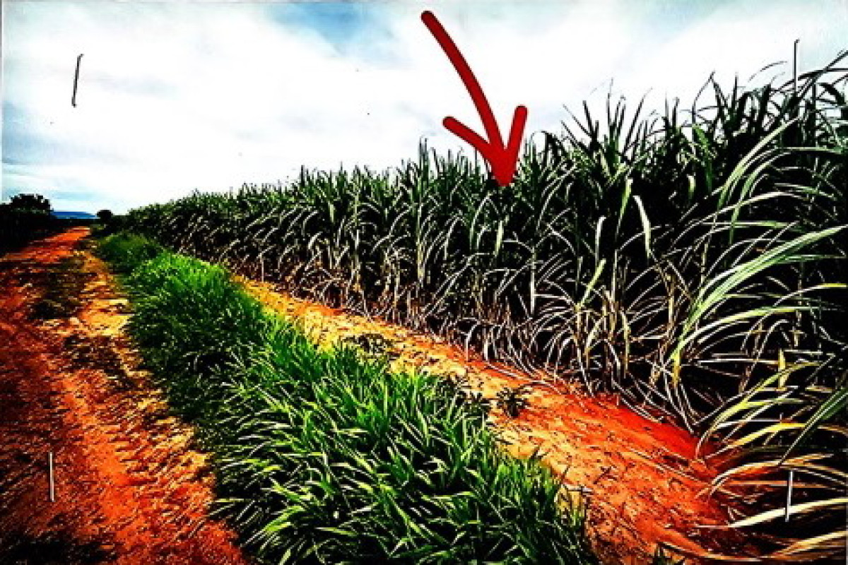 ที่ดินเปล่า ชัยภูมิ ภูเขียว ผักปัง 120000