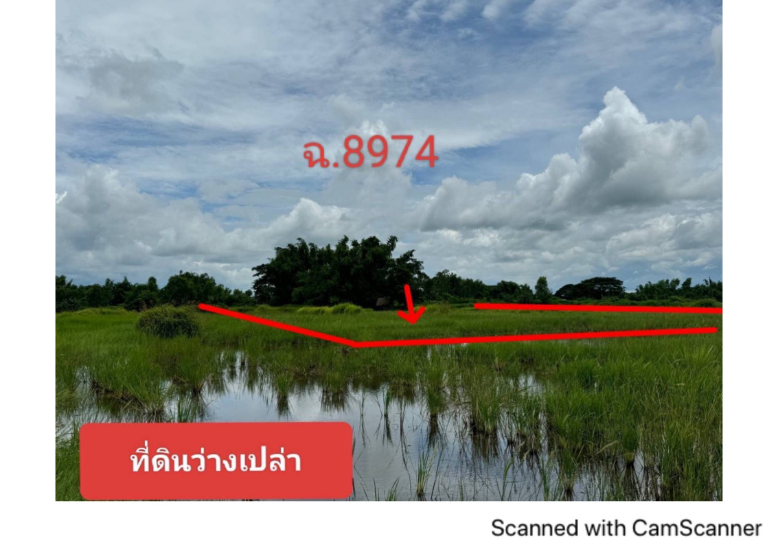 ที่ดินเปล่า สกลนคร โพนนาแก้ว บ้านโพน 80000