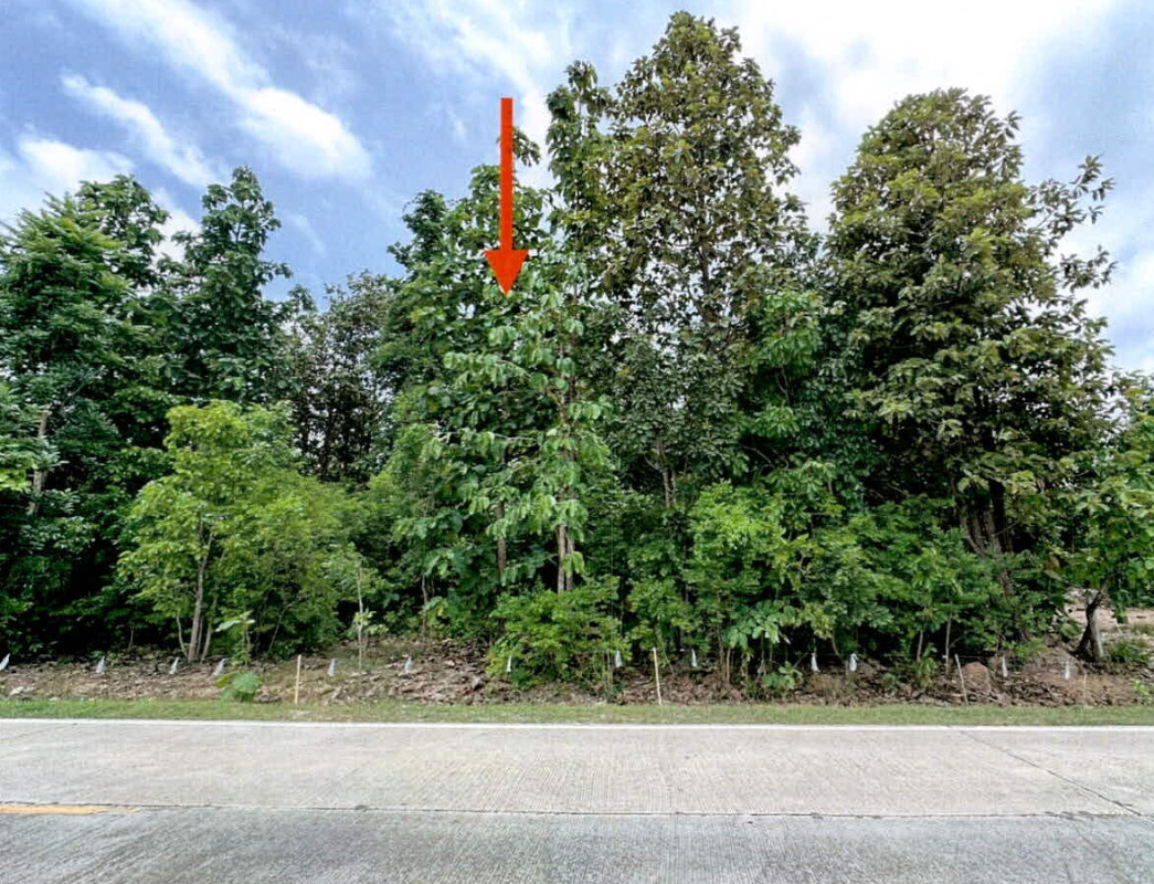 ที่ดินเปล่า ลำปาง ห้างฉัตร หนองหล่ม 651980