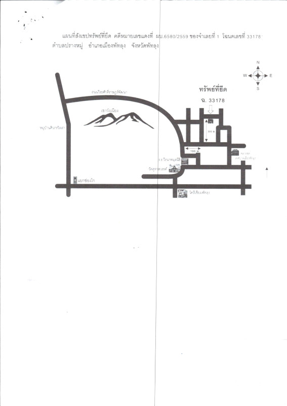ทาวน์เฮ้าส์ พัทลุง เมืองพัทลุง ปรางหมู่ 908420