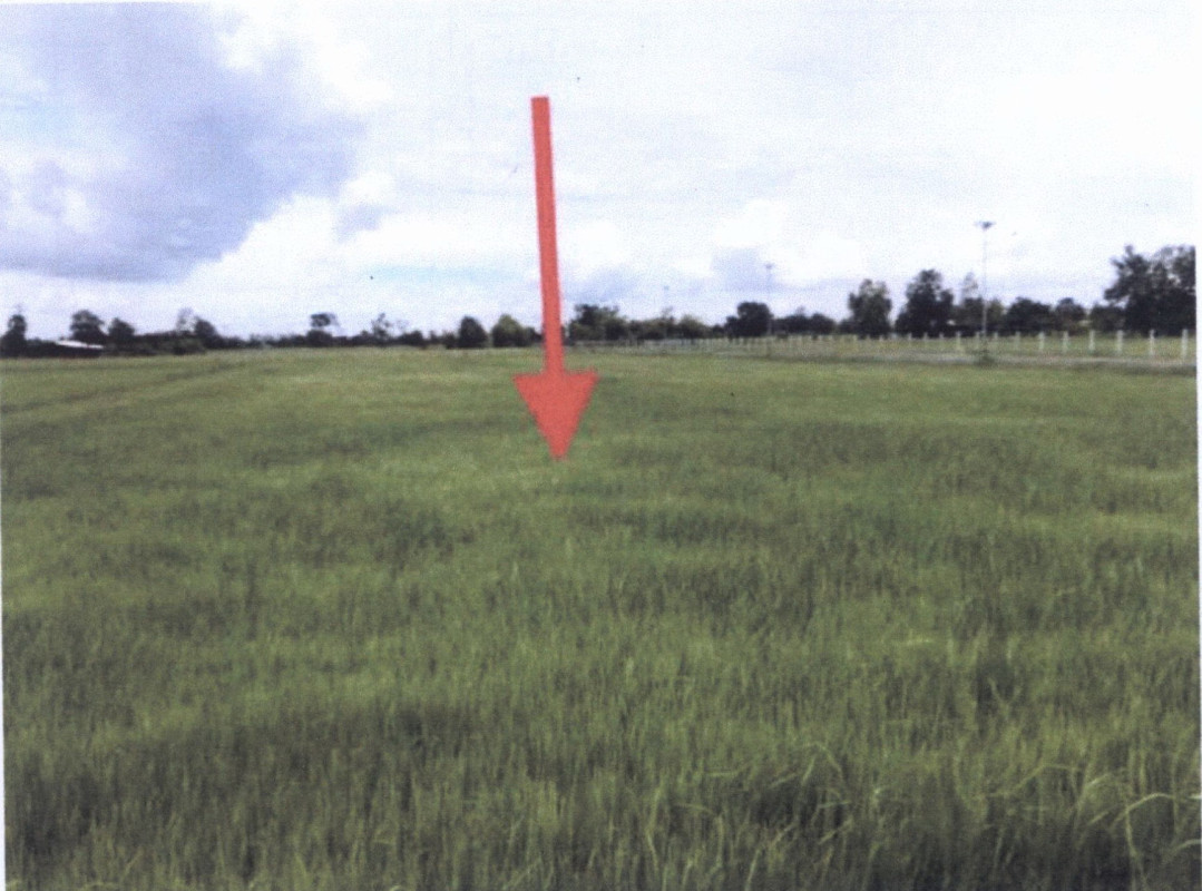 ที่ดินเปล่า สุรินทร์ รัตนบุรี ธาตุ 245000