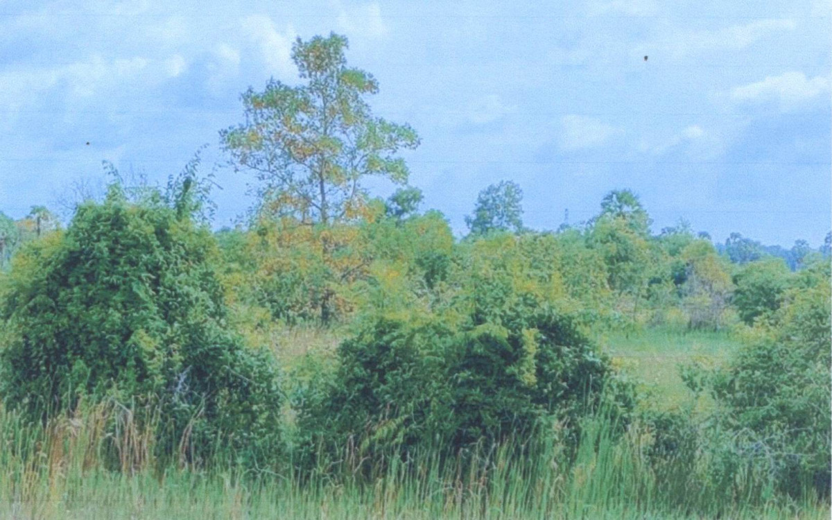 ที่ดินเปล่า ยะลา เบตง เบตง 159000