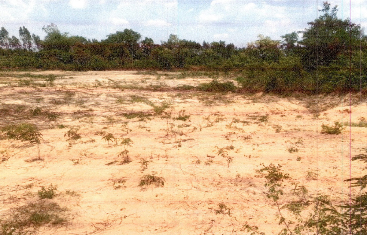 ที่ดินเปล่า นครราชสีมา ชุมพวง หนองหลัก 463275