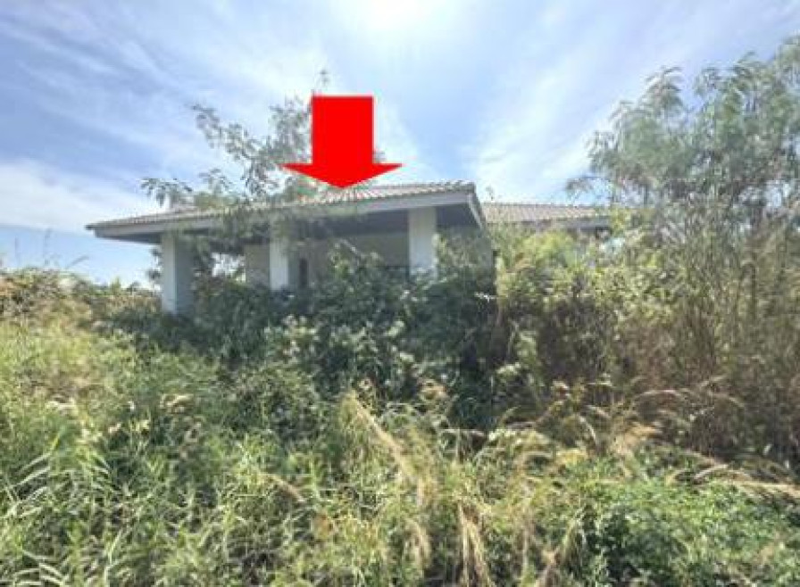 บ้านเดี่ยว หนองบัวลำภู เมืองหนองบัวลำภู โพธิ์ชัย 1365000