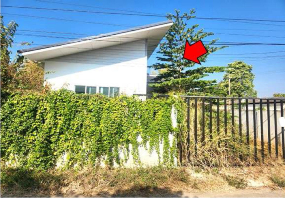 บ้านเดี่ยว นครราชสีมา สีคิ้ว ลาดบัวขาว 1535000