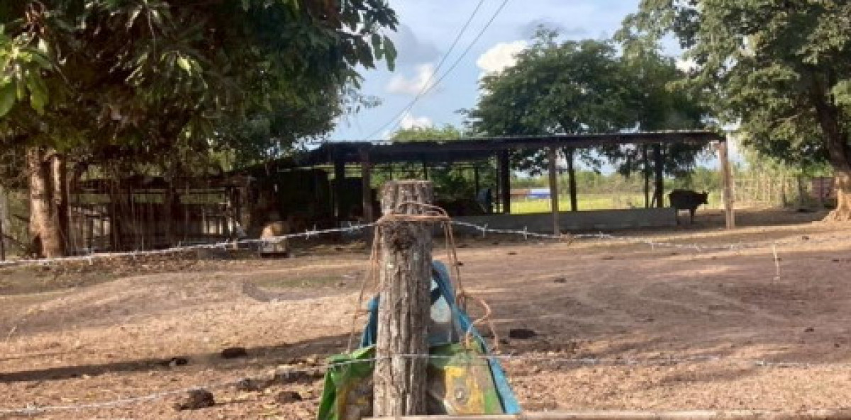 บ้านเดี่ยว มหาสารคาม พยัคฆภูมิพิสัย เวียงสะอาด 472000