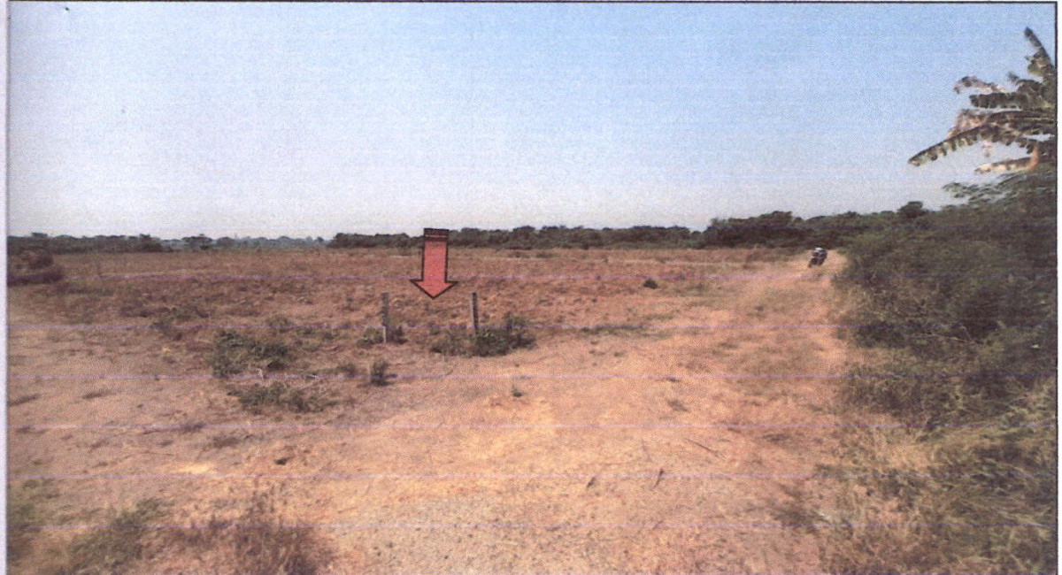 ที่ดินเปล่า นครปฐม กำแพงแสน กระตีบ 25500