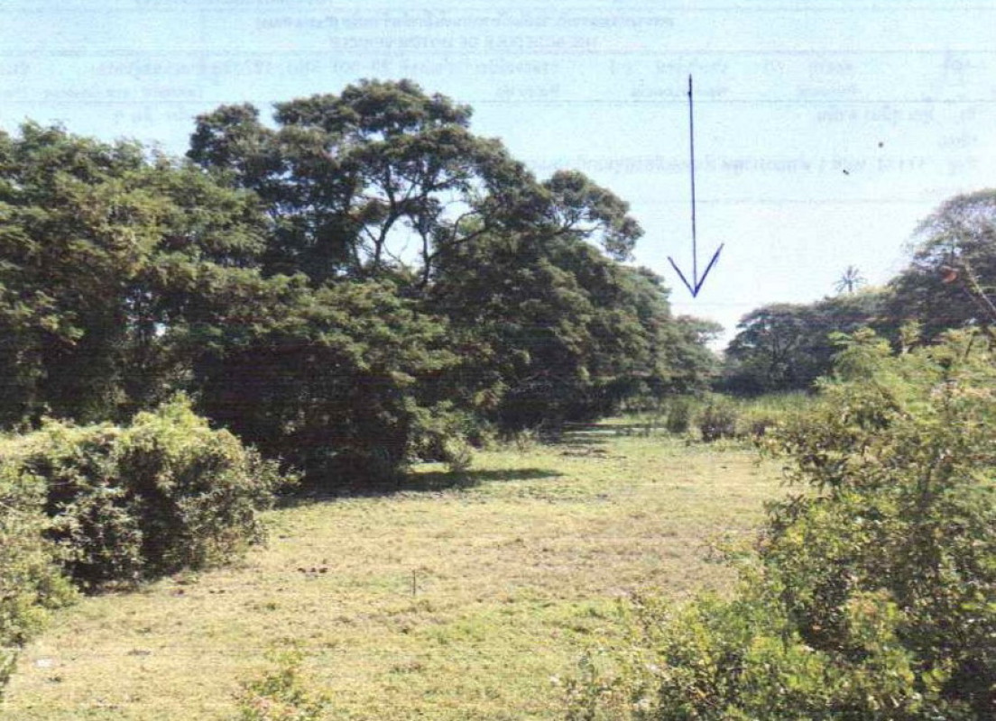 ที่ดินเปล่า ราชบุรี เมืองราชบุรี เกาะพลับพลา 586000