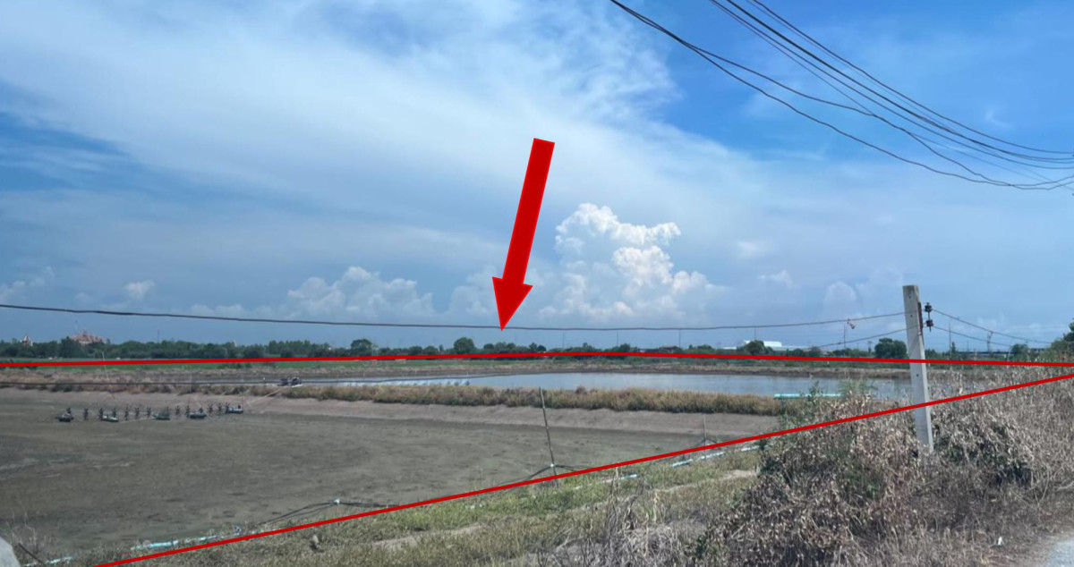 ที่ดินเปล่า สุพรรณบุรี สองพี่น้อง บางตาเถร 1112130