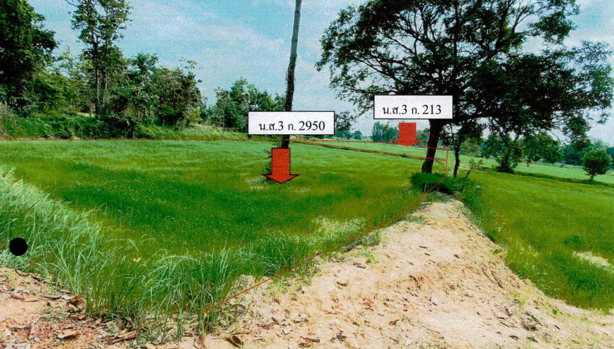 ที่ดินเปล่า อำนาจเจริญ เมืองอำนาจเจริญ หนองมะแซว 113000