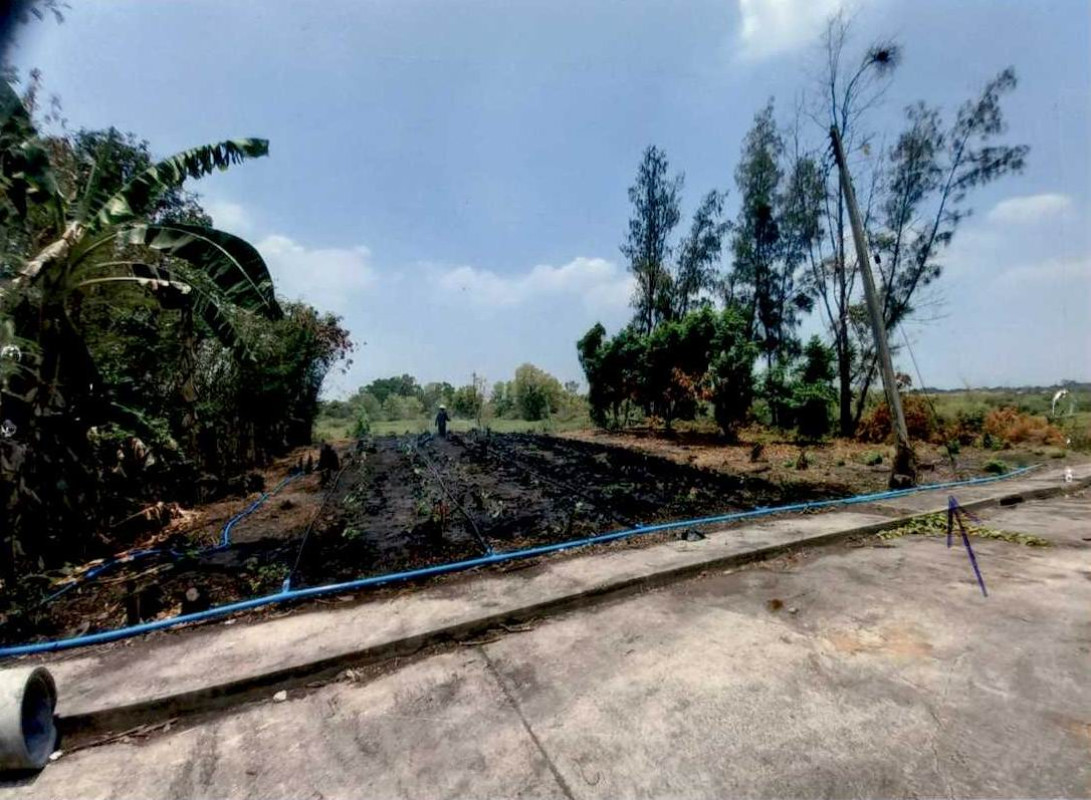 ที่ดินเปล่า พระนครศรีอยุธยา พระนครศรีอยุธยา สวนพริก 368000