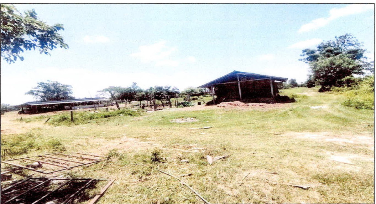 บ้านเดี่ยว สุรินทร์ เมืองสุรินทร์ ตระแสง 965490