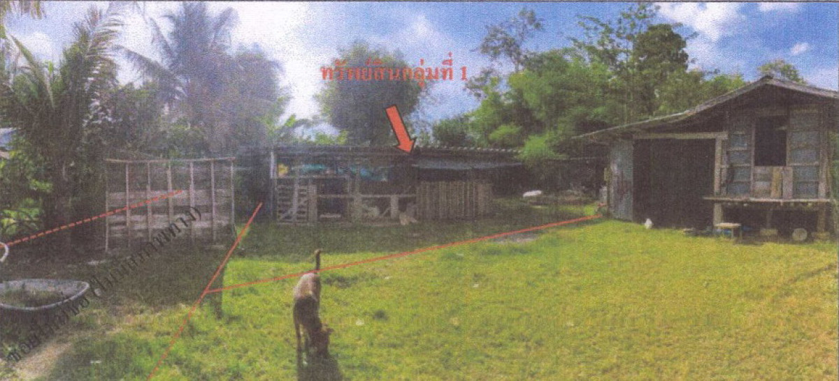 ที่ดินเปล่า บุรีรัมย์ พลับพลาชัย สะเดา 52400