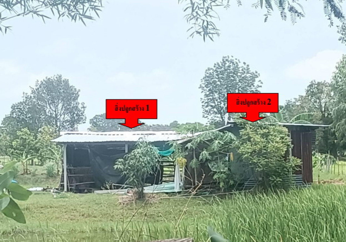 บ้านเดี่ยว มหาสารคาม นาดูน นาดูน 713070