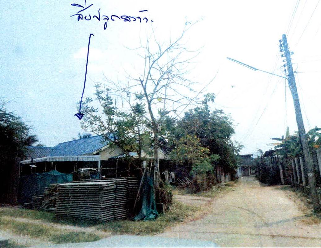 บ้านเดี่ยว อำนาจเจริญ เมืองอำนาจเจริญ บุ่ง 856825