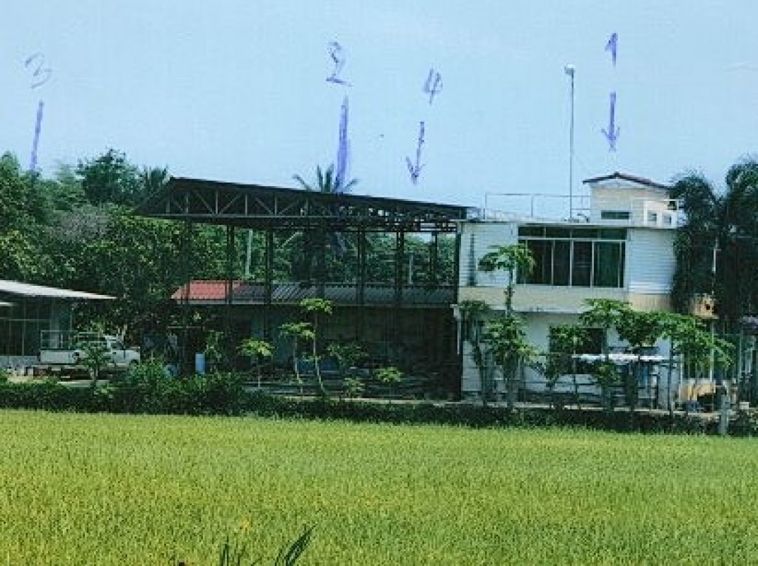 บ้านเดี่ยว พิษณุโลก วังทอง วังพิกุล 1588276