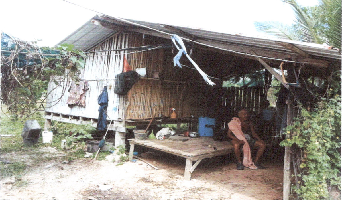 บ้านเดี่ยว พัทลุง ป่าบอน ทุ่งนารี 1903176