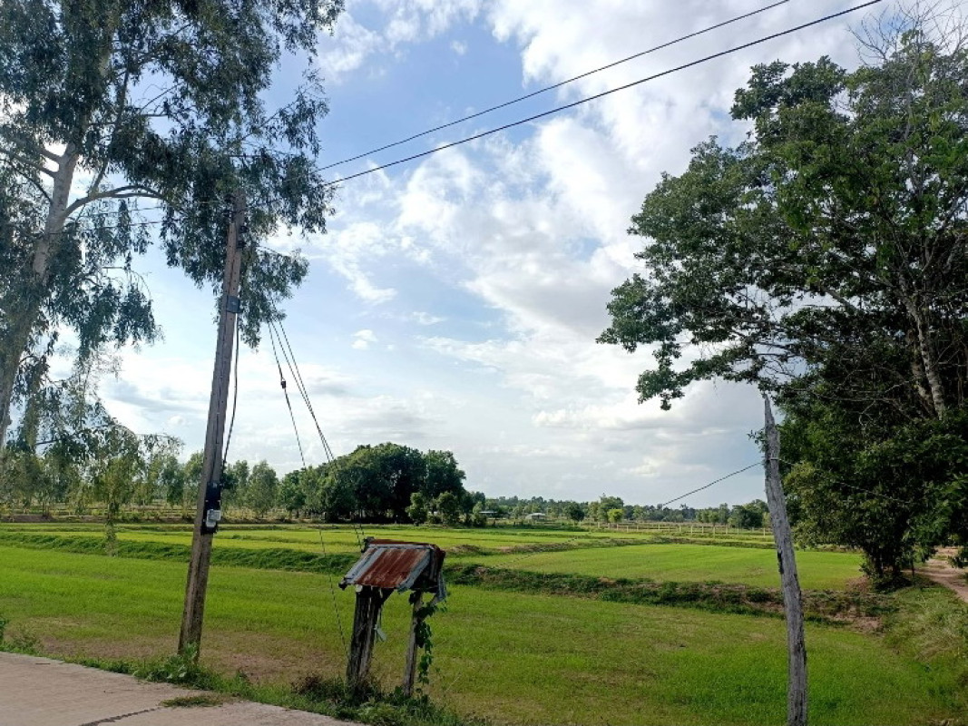 ที่ดินเปล่า มหาสารคาม วาปีปทุม หนองแสน 823000