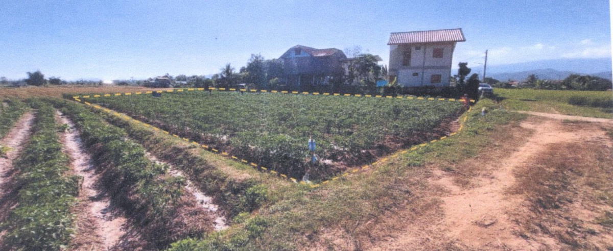 Residential land/lot Nan Tha Wang Pha Si Phum 71185