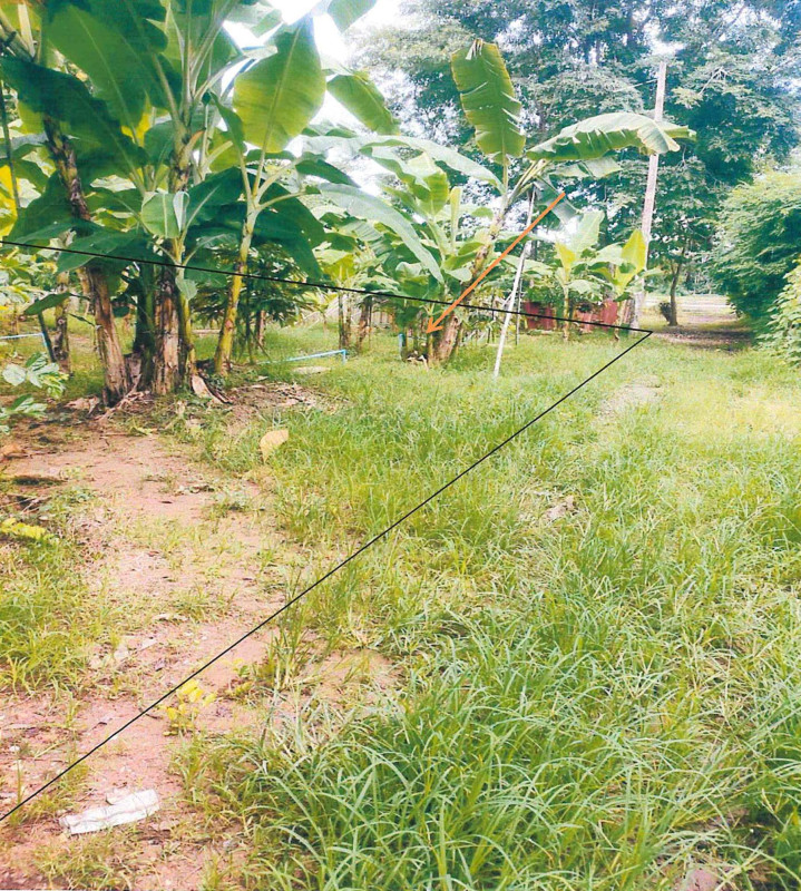 ที่ดินเปล่า สุโขทัย สวรรคโลก ในเมือง 37860