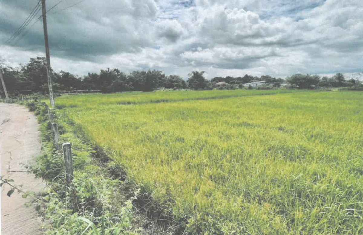 Residential land/lot Maha Sarakham Mueang Maha Sarakham Khewa 934920