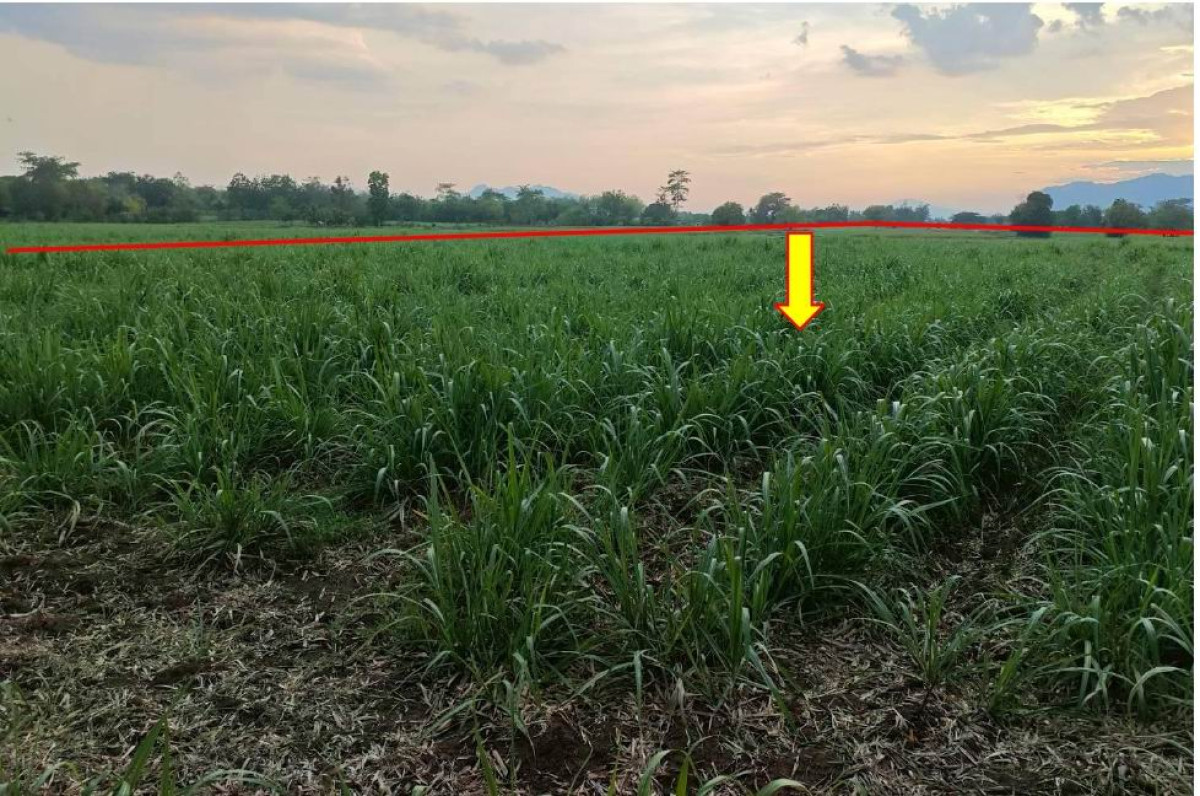 ที่ดินเปล่า ขอนแก่น ชุมแพ นาหนองทุ่ม 460320