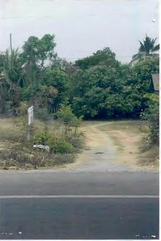 ที่ดินเปล่า ราชบุรี โพธาราม เตาปูน 200000